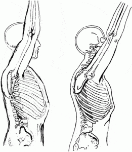 How to Gain Weight Around the Rib Cage