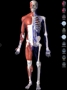 essential anatomy 3 mac