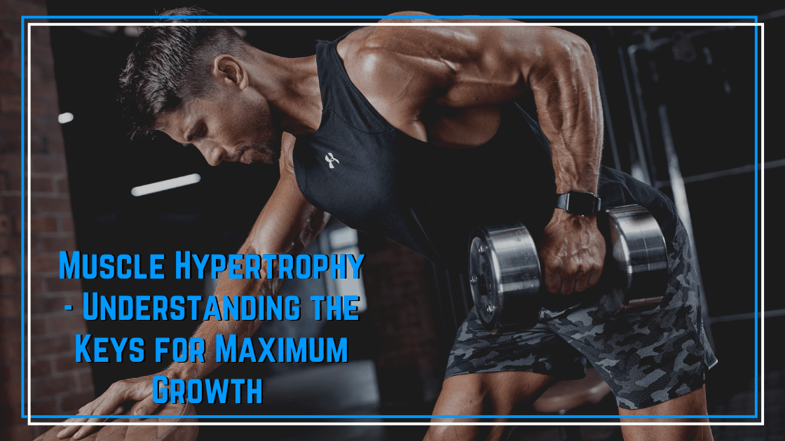 mechanisms of Muscle hypertrophy