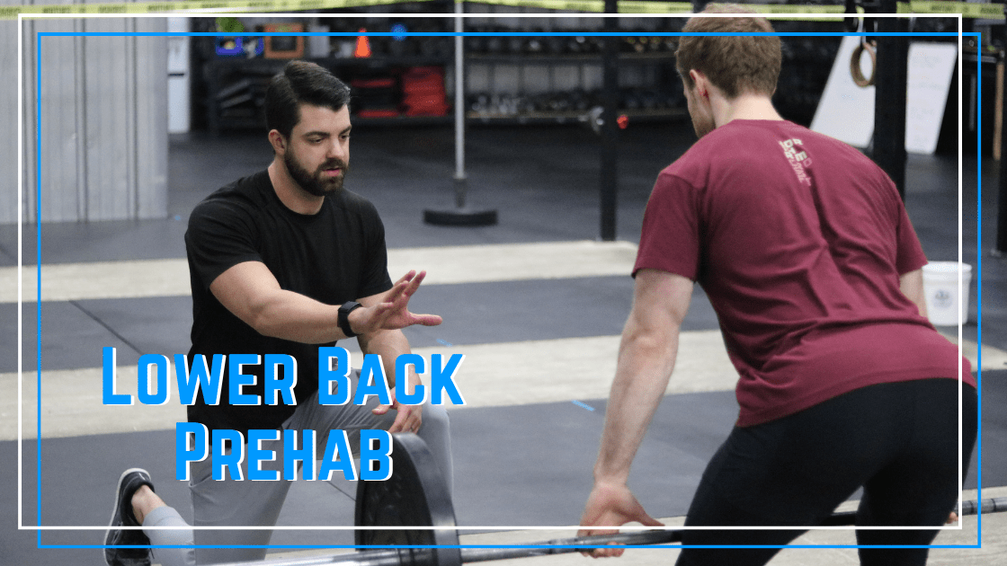 prehab your lower back