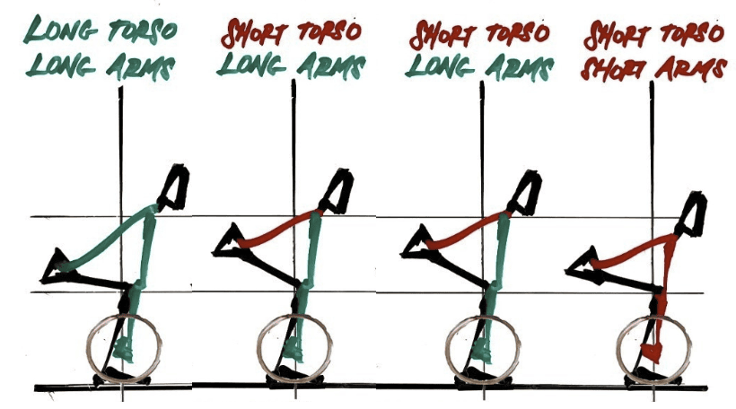 Anthropometry and AKD during squatting—(left): long legs/short