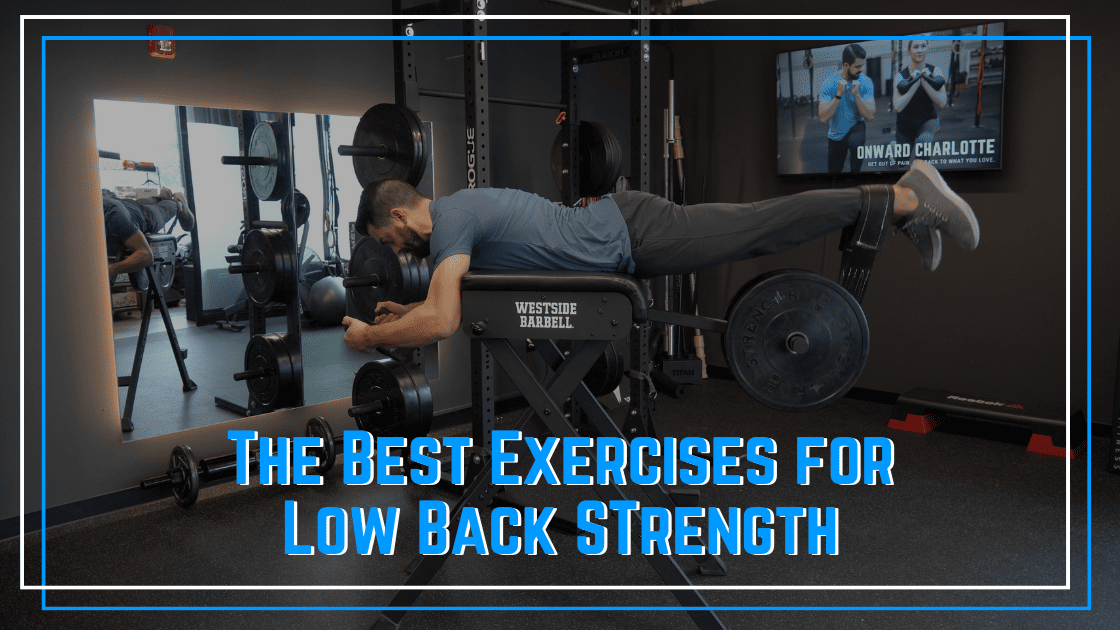 Featured image for “Best Exercises for Low Back Strength”