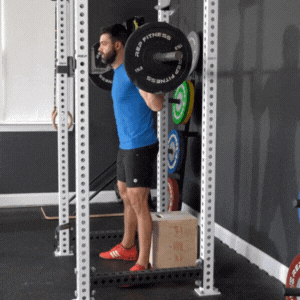 Box Squat
